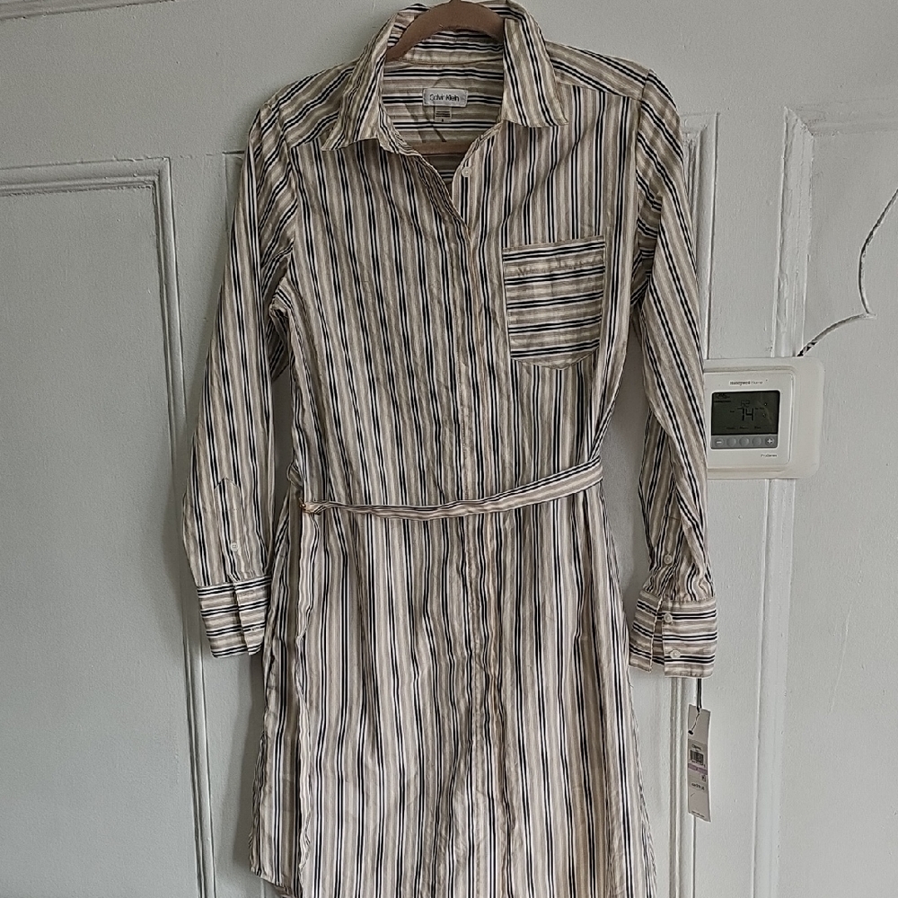 Calvin Klein Collection Striped Long Sleeve Dress